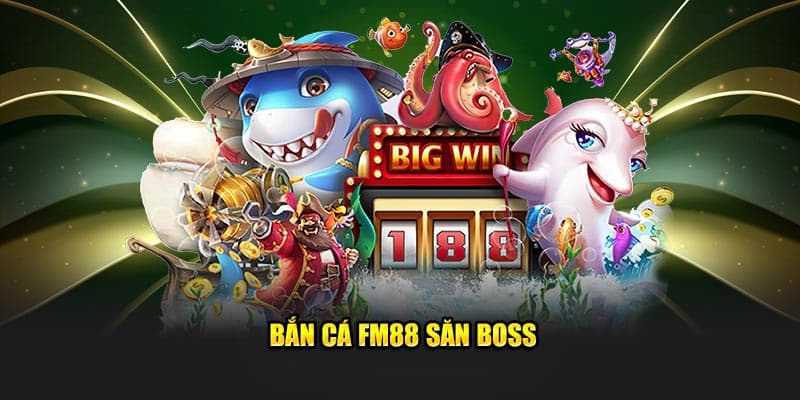 bắn cá FM88 Giới thiệu tổng quan về ảnh chụp FM88